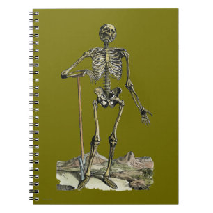 Vesalius: Skelettsystemet Anteckningsbok