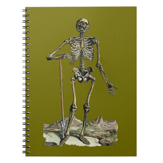 Vesalius: Skelettsystemet Anteckningsbok (Framsidan)
