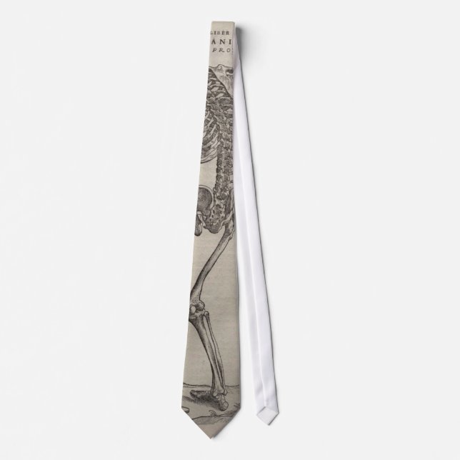 Vesaliuss Fabrica Slips (Framsida)
