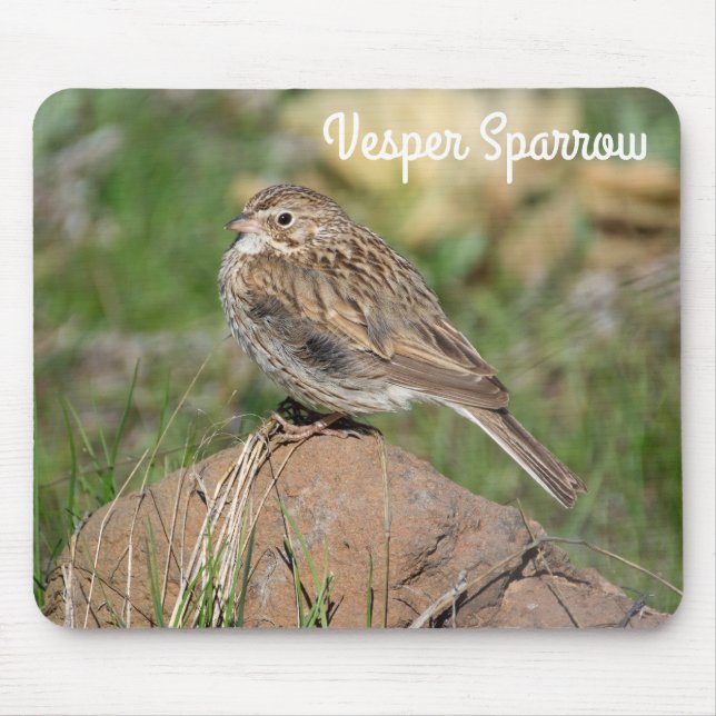 Vesper Sparrow Musmatta (Framsidan)