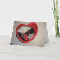 Vessla i hjärtavalentin kort för dag