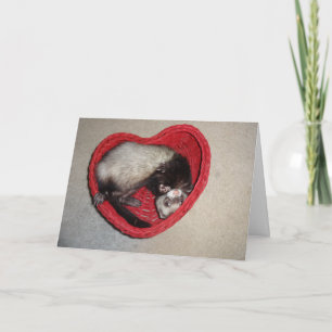 Vessla i hjärtavalentin kort för dag