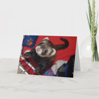 Vesslahälsningkort Kort