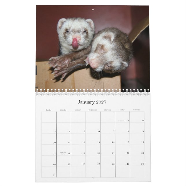 Vesslakalender 2011 kalender (Jan 2027)