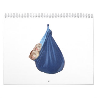 Vesslakalender 2011 kalender