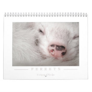 Vesslakalender - 2nd upplaga kalender
