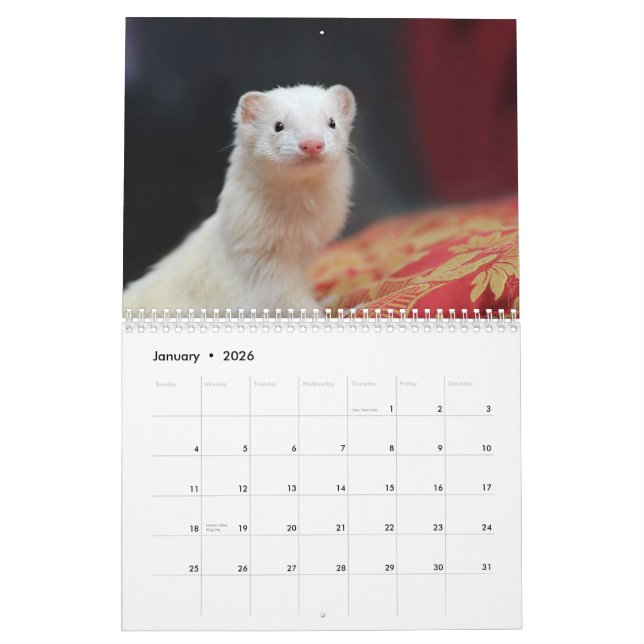 Vesslakalender - 4 - kalender (Jan 2026)