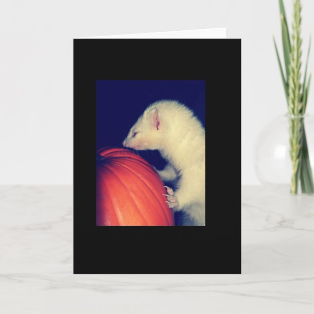 Vesslan och pumpan kort (Framsida)