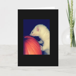 Vesslan och pumpan kort