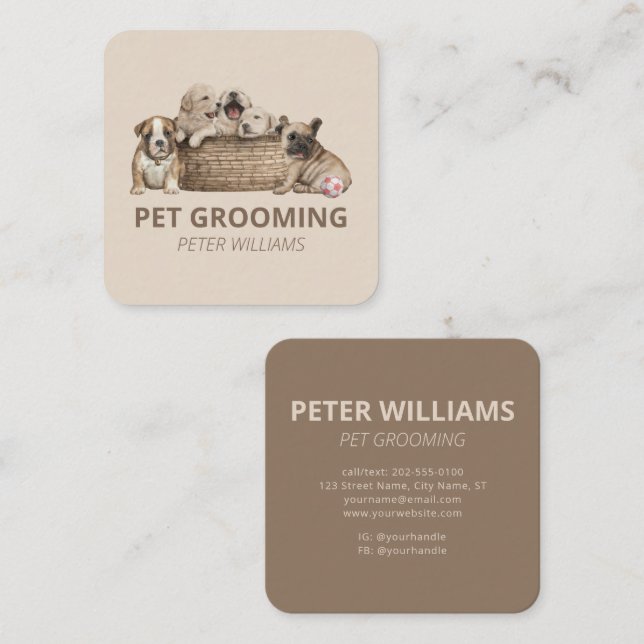 Vet Pet Grooming Pet Sitter Fyrkantigt Visitkort (Fram/baksida)