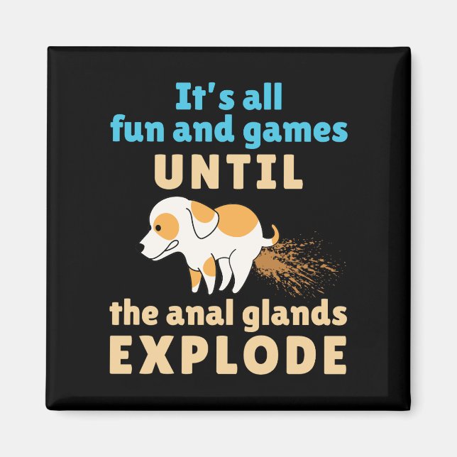 Vet Tech Roligt och Games tills Anal Glands Explod Magnet (Framsidan)