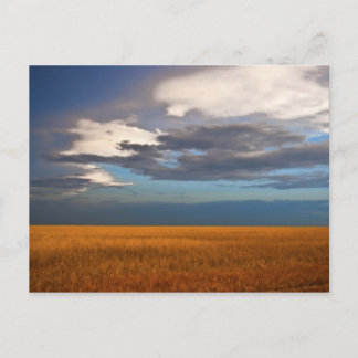 Vete Bra Oljemålning Post Card Vykort