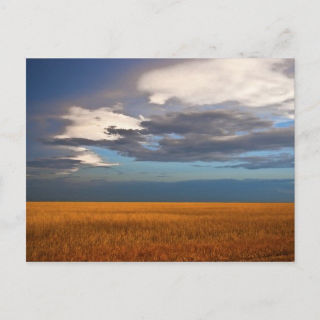 Vete Bra Oljemålning Post Card Vykort (Framsida)
