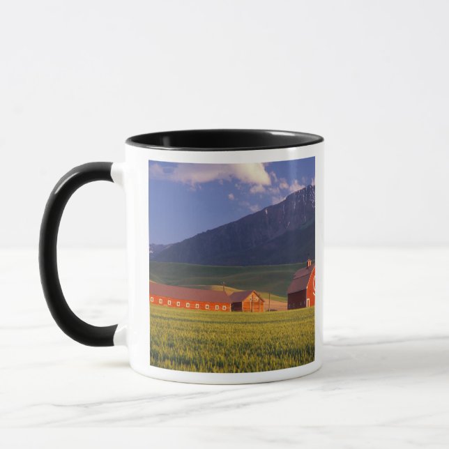 Vete fält i Wallowa Valley, strax utanför Mugg (Vänster)