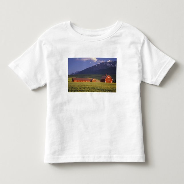 Vete fält i Wallowa Valley, strax utanför Tee Shirt (Framsida)