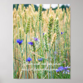 Vete fält med blå kornblommor poster