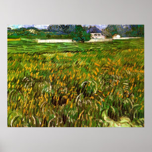 Vete fält vid Auvers av Vincent van Gogh Poster