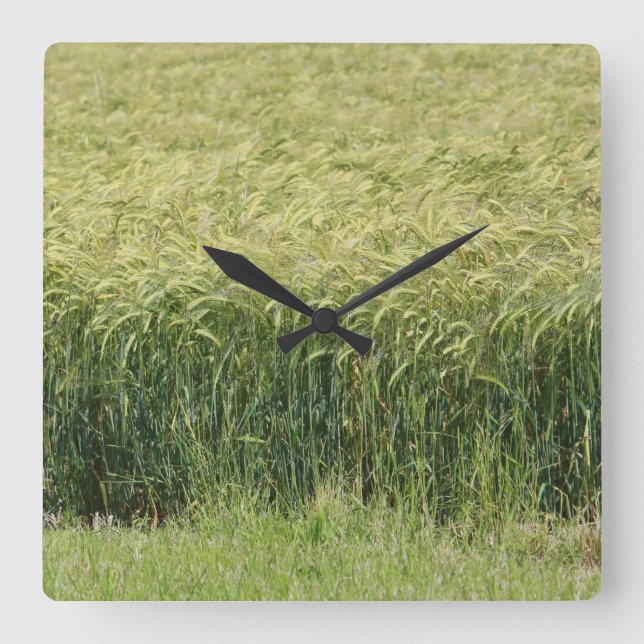 Vete! Fyrkantig Klocka (Framsida)