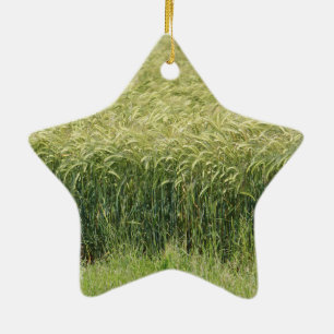 Vete! Julgransprydnad Keramik