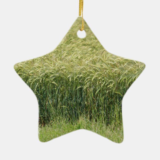 Vete! Julgransprydnad Keramik (Baksidan)