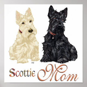 Vete och svarta Scotties mors dag Poster