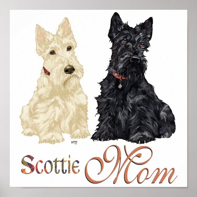Vete och svarta Scotties mors dag Poster (Framsidan)