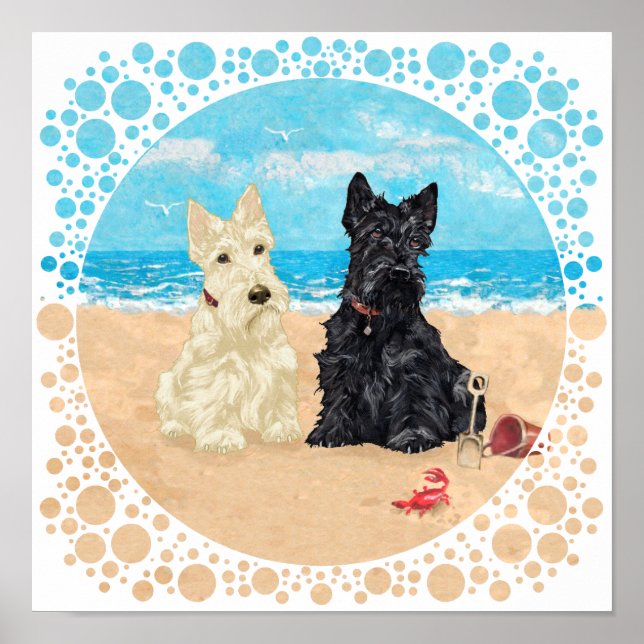 Vete- och svarta Scotties på stranden Poster (Framsidan)
