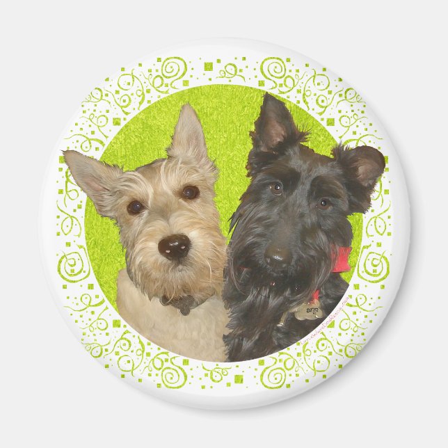 Vete- och svarta skotska terrier magnet (Framsidan)