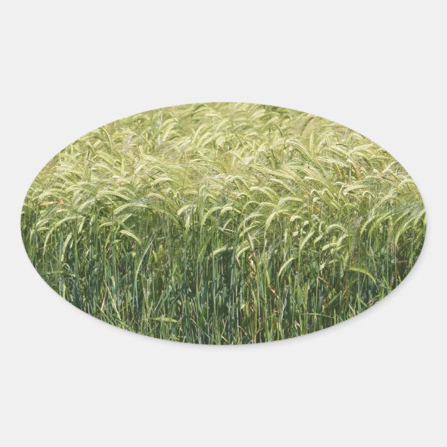 Vete! Ovalt Klistermärke (Framsida)