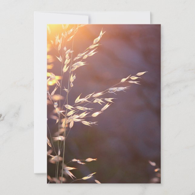 vete på morgonen tack kort (Framsida)