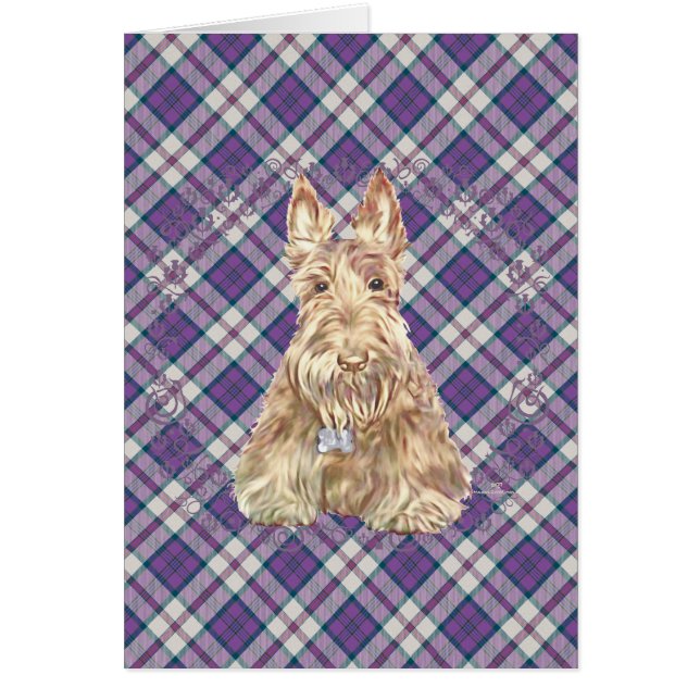 Vete Scottie Tartan Hälsningskort (Framsidan)