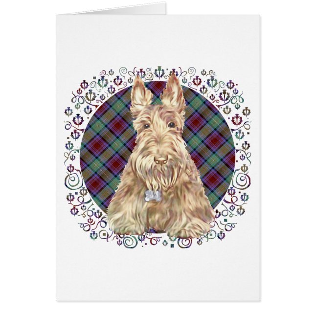 Vete Scottie Tartan Hälsningskort (Framsidan)