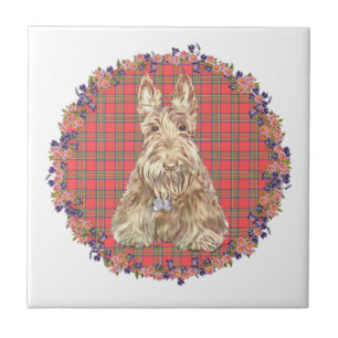 Vete Scottie Tartan Kakelplatta