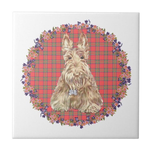 Vete Scottie Tartan Kakelplatta (Framsidan)