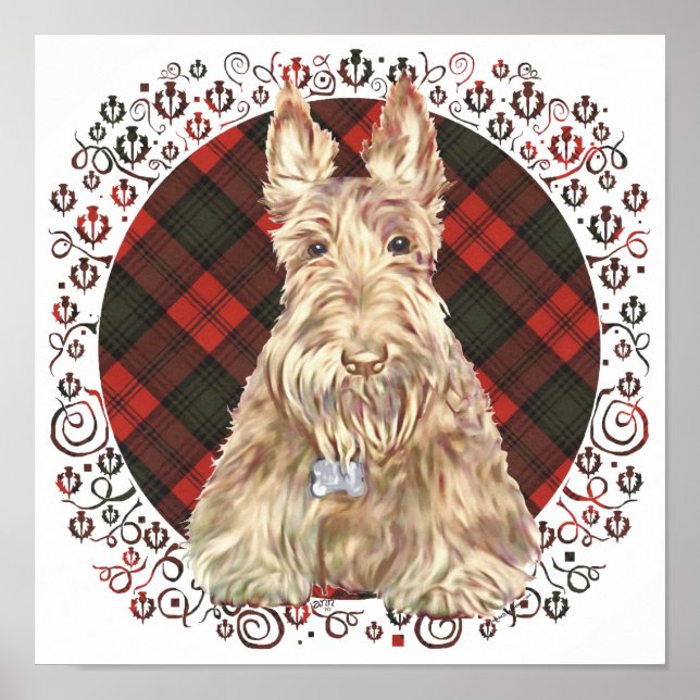 Vete Scottie Tartan Poster (Framsidan)