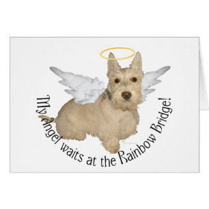 Vete Scottish Terrier Änglar Hälsningskort
