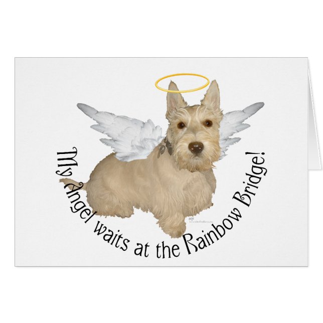 Vete Scottish Terrier Änglar Hälsningskort (Framsidan Horizontal)