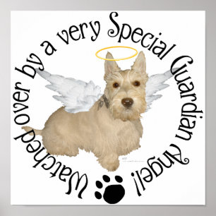 Vete Scottish Terrier Änglar Poster