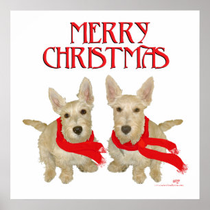 Vete Scottish Terrier Jul Poster