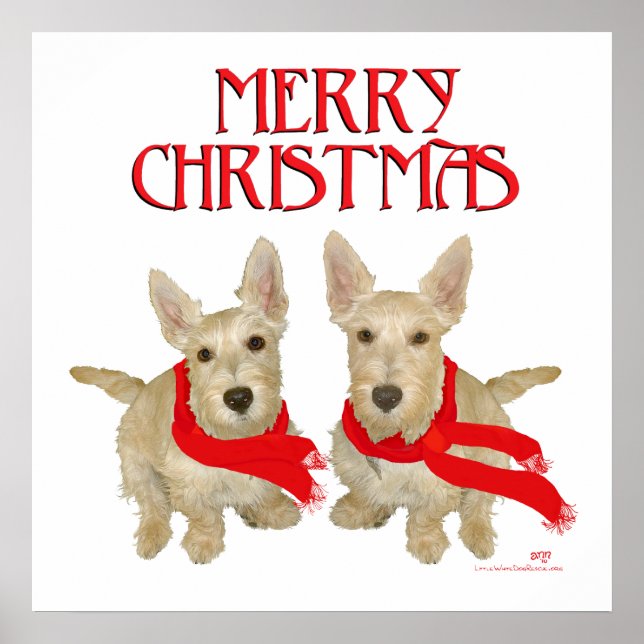 Vete Scottish Terrier Jul Poster (Framsidan)