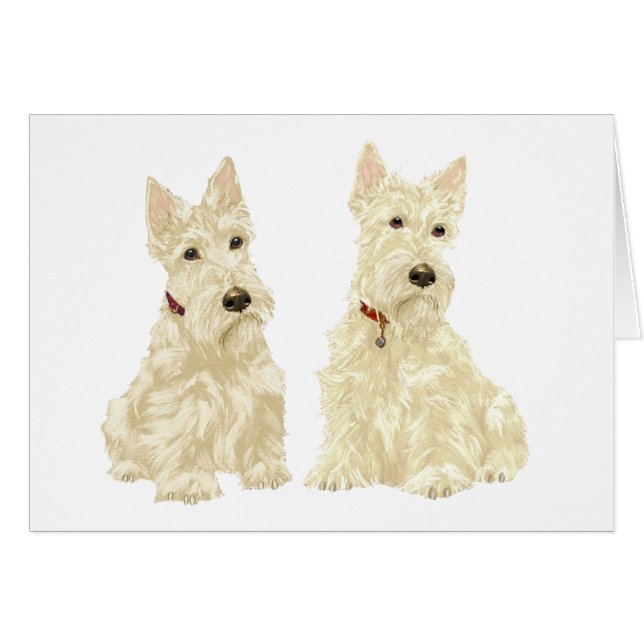 Vete Scottish Terriers Hälsningskort (Framsidan Horizontal)