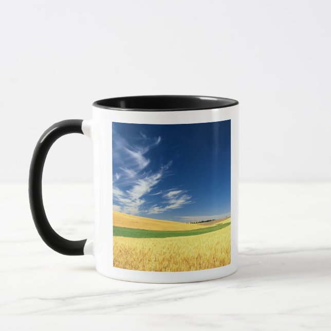 Vete skörd på Palouse i östra Mugg (Vänster)