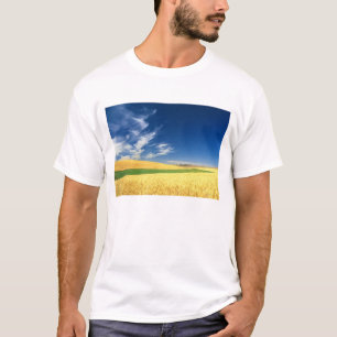 Vete skörd på Palouse i östra Tee