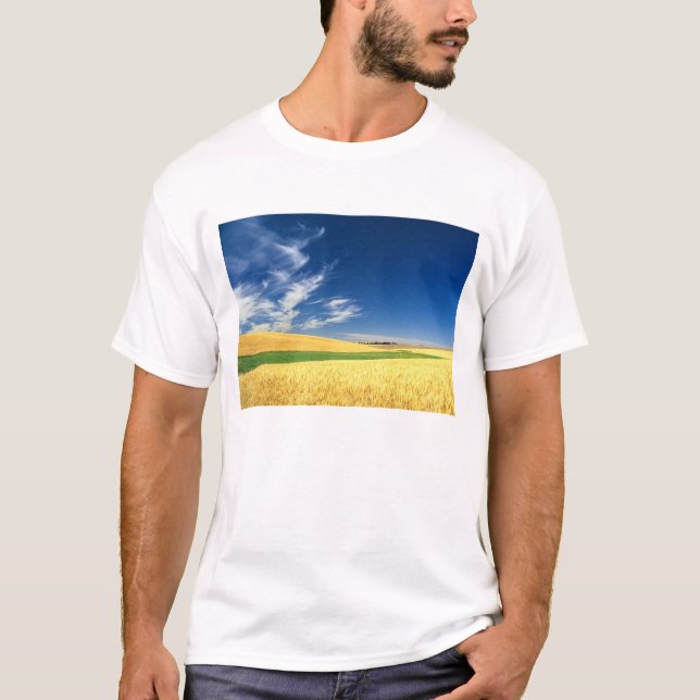 Vete skörd på Palouse i östra Tee (Framsida)