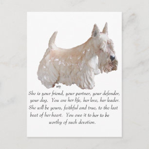 Vete skotsk terrier - HONHUND Vykort