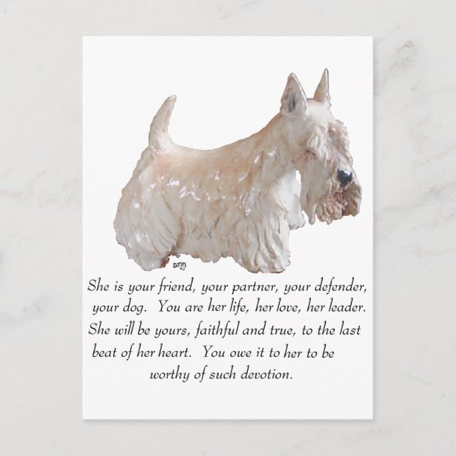 Vete skotsk terrier - HONHUND Vykort (Framsida)