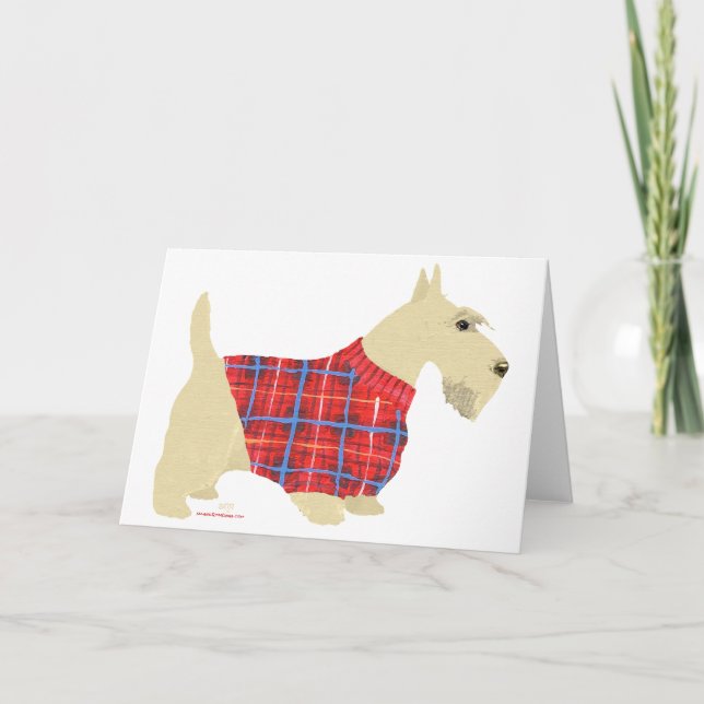 Vete skotsk terrier tröja helgkort (Framsida)