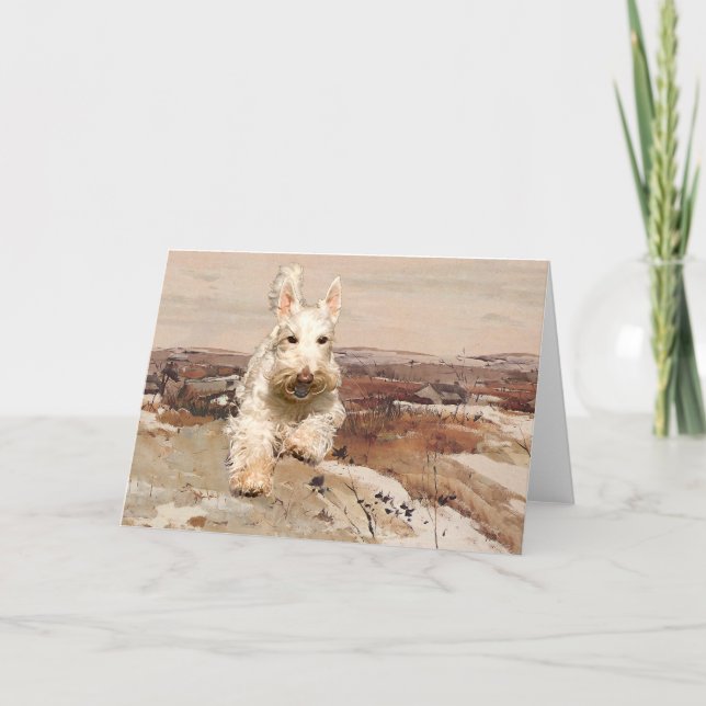 Vete skotsk terrier välkomstkort kort (Framsida)
