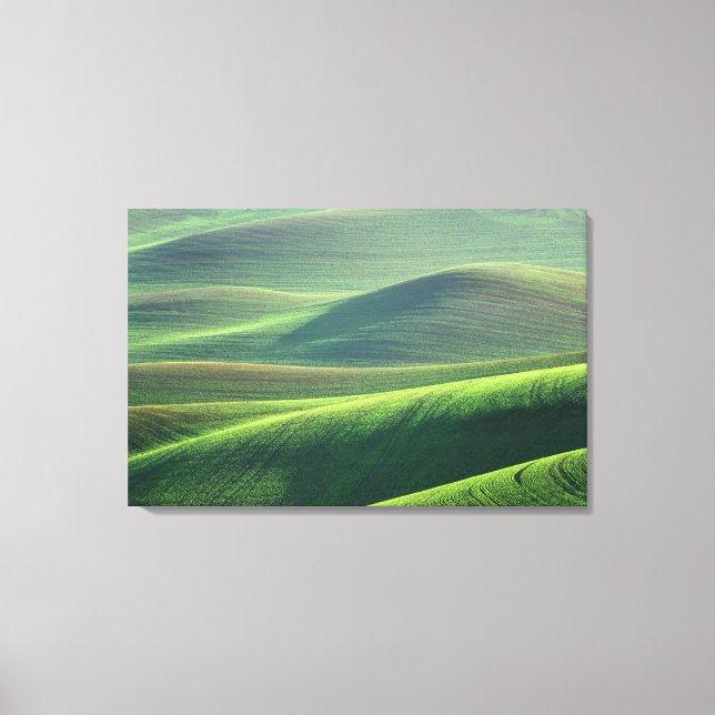 Vete spirar i kullarna i Palouse Canvastryck (Framsida)