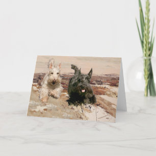 Vete & Svarta Scotties springer Kort